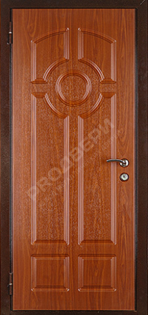 Фотография «Дверь трехконтурная №16»